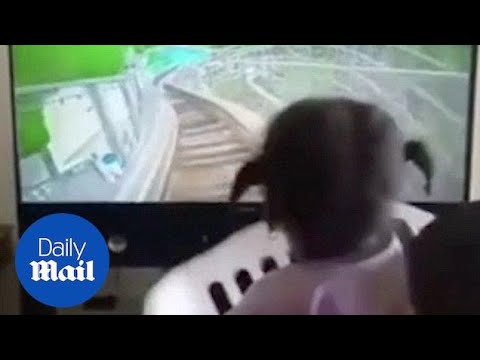 A dad creates a rollercoaster simulator for daughter - Daily Mail