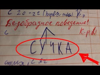 20 УПОРОТОСТЕЙ ИЗ ДНЕВНИКОВ Ч.2