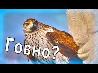 Почему Assassin’s Creed Origins ГОВНО