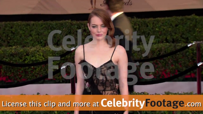 Natalie Portman, Emma Stone, Nicole Kidman and more at the SAG Awards