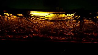 1080L Moja maa natura BlackWater HQ