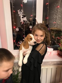 Полина Петрова