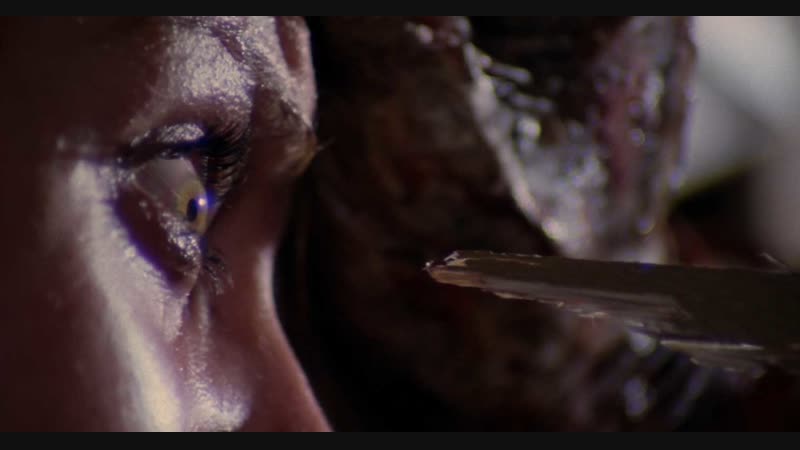 Zombie 2: The Dead are Among Us 1979, Zombie Flesh Eaters, Woodoo, Зомби 2, Пожиратели
