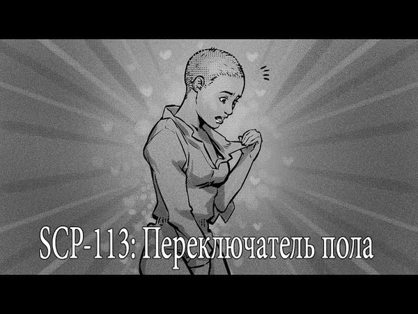 SCP 113: Переключатель