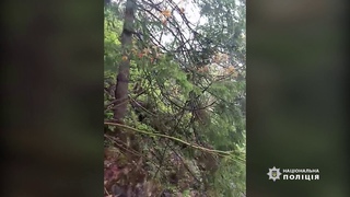 На Верховинщині вантажний автомобіль з туристами злетів у річку,  загиблі