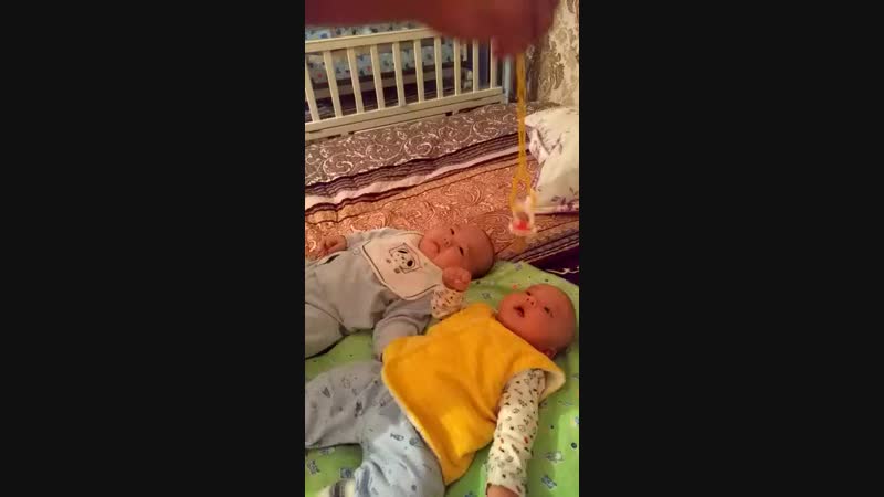 егиз козы