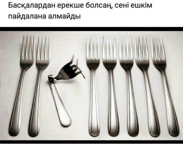 It can be useful. Speaking useful phrases. Useful useless. Useful information картинка. Not only but also правило.