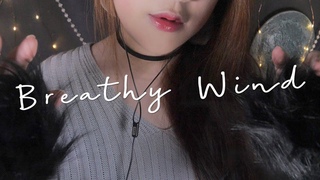 ASMR Ｂｒｅａｔｈｙ  Ｗｉｎｄ 🌙 숨결귓바람