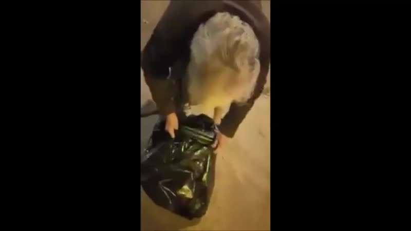Société française : À 80 ans, elle fait les poubelles pour se nourrir et nourrir ses