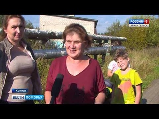 В Коноше — нашествие волков