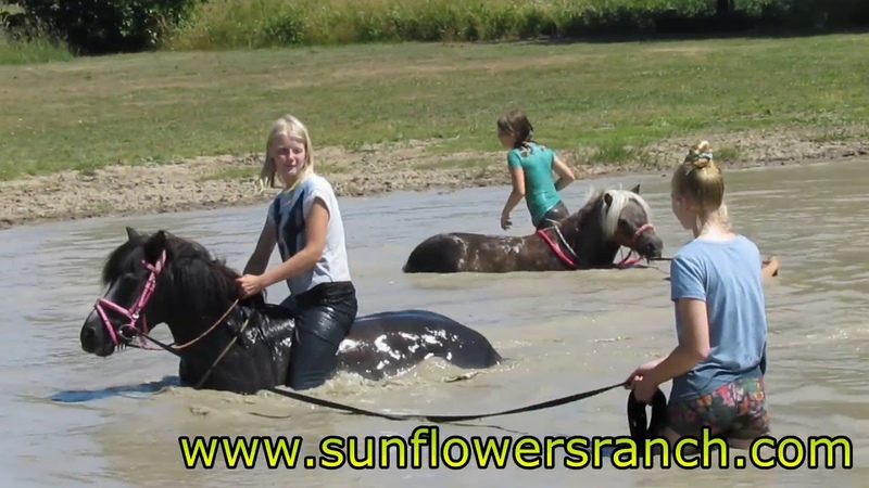 Waterpret met de Shet
