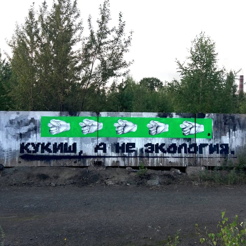 «Кукиш, а не экология». Художник Илья Вьюгов посвятил новое граффити формальдегидному июлю