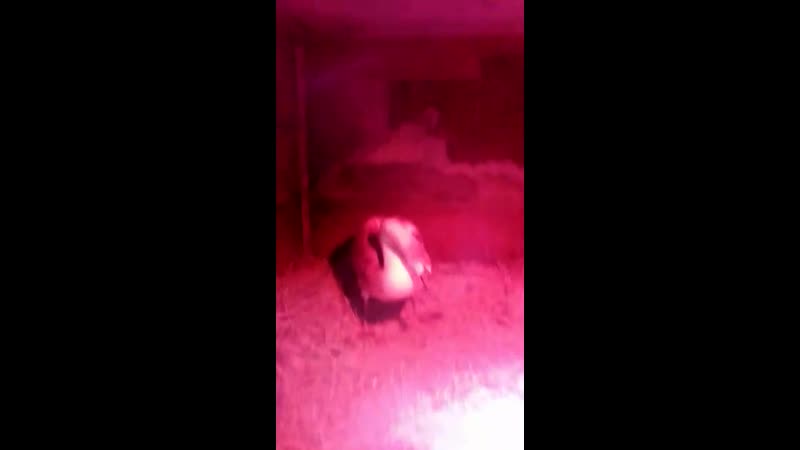 Федор🦢7
