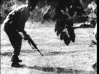 South Vietnam Troops In Action Against Communist Guerillas

 (1961)