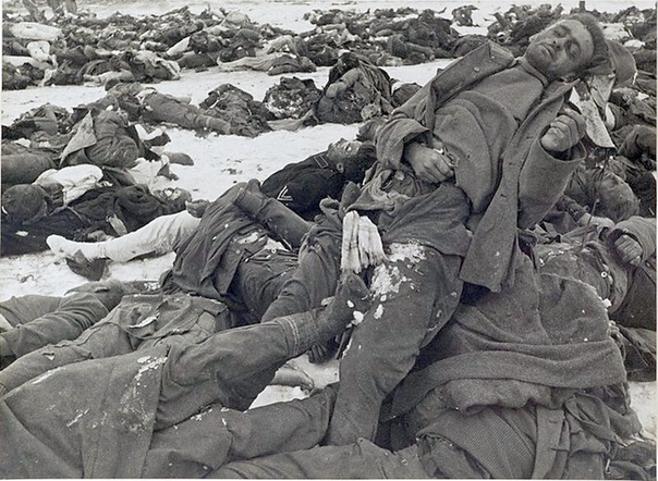 Что делали в СССР с трупами немецких солдат. СССР, 1941 1945 годы. В годы войны Советский Союз был усеян мертвецами. Похороны участников боя по понятным причинам проводила победившая сторона.