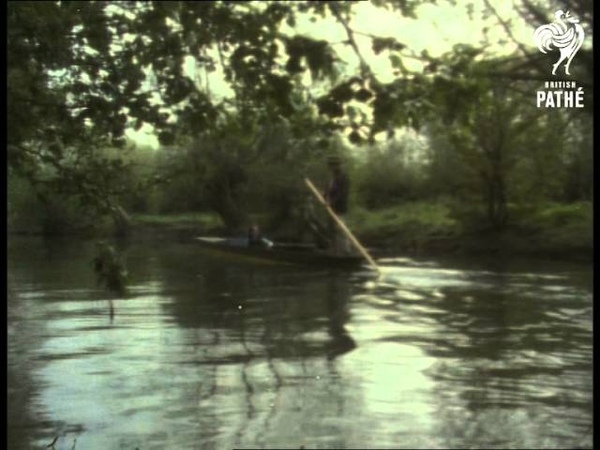Tugs, Trees And River (1970