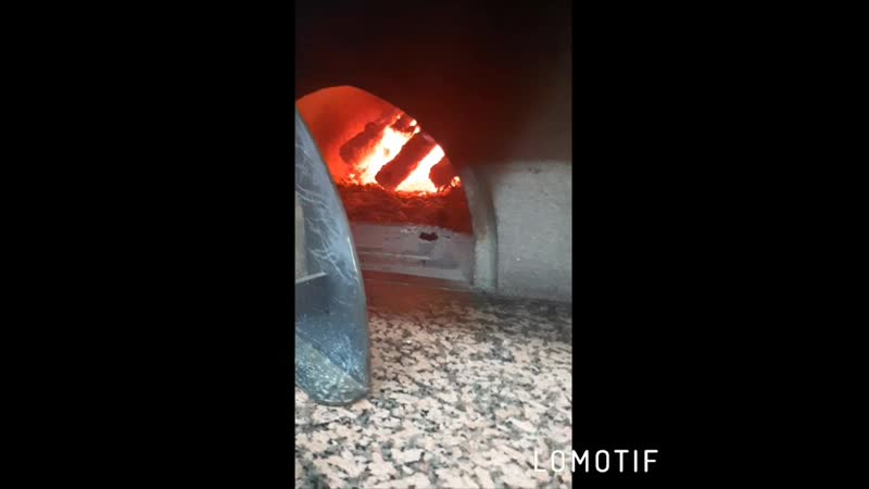 VID_24090129_180715_318.mp4