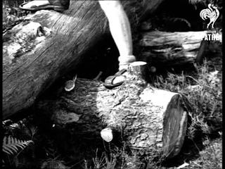 Hikers And Cyclists Issue Title Pathe Pictorial Goes Away For The Weekend (1947)