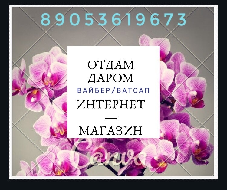 Нью Дар Интернет Магазин
