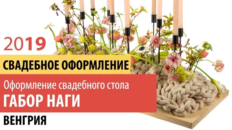 Из чего и как можно сделать твердый коврик для компьютерной мыши своими Британские кошки, британские котята, британские