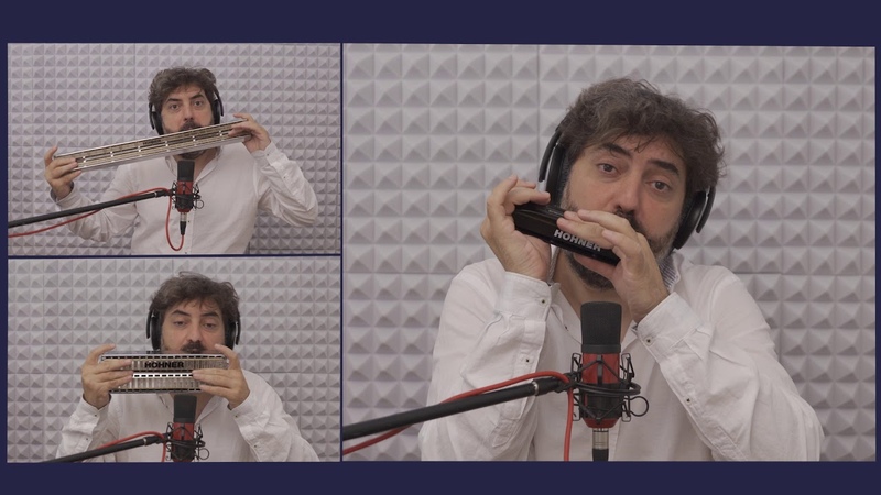 PEPITA GREUS Harmonica Antonio