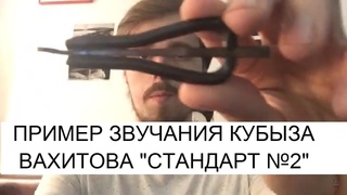 Пример звучания Кубыз Вахитова стандарт № 2