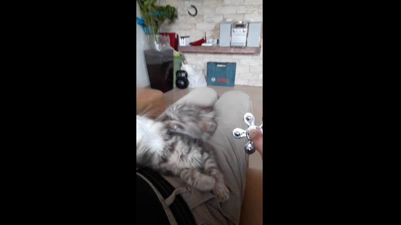 Фрося, котенька