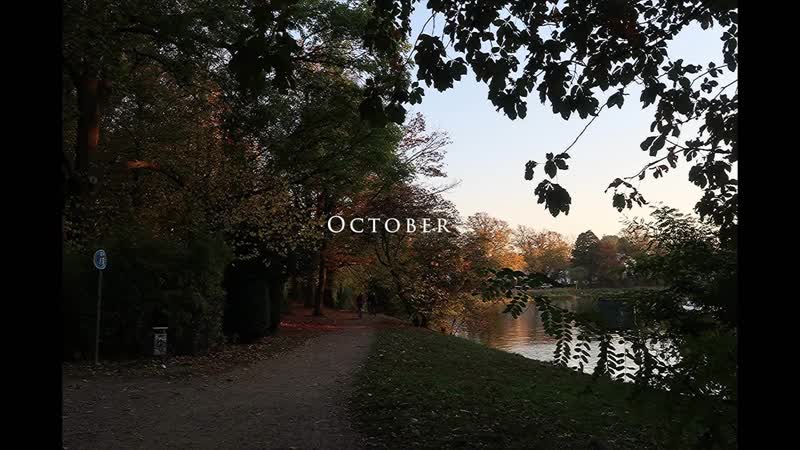 Video Diary October - Dont Panic