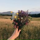 The flowers are mine. Is for you flower. The book of flowers иллюстрации книги. The flowers are mine. The flowers are mine.