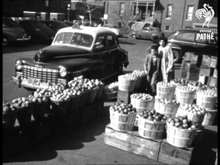 Fur Coat Ad Gets Company In Trouble Aka Ad Gets Fur Store In Peck Of Trouble (1949)