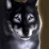 Аватар: Black Wolf