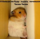 Фотография Глебовой Елены