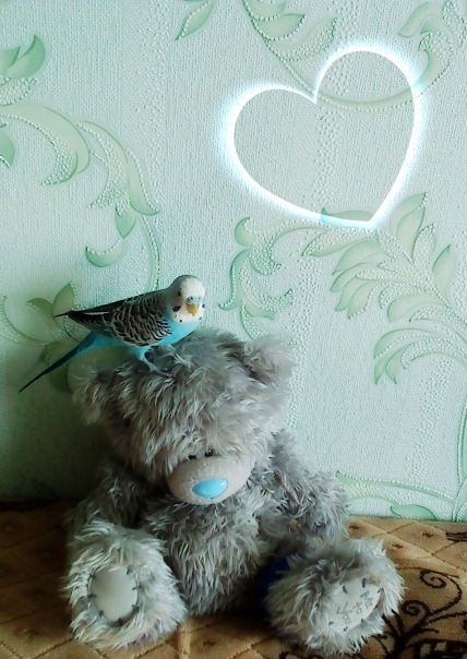 №16, Наташа Баранова №16, Наташа Баранова