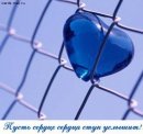 №22 Yuska Mehdiyev