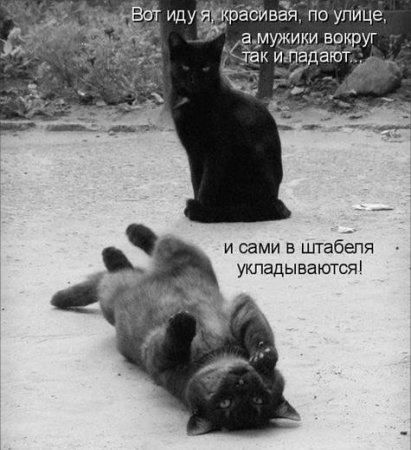 №65, Дария Николаева, Москва №65, Дария Николаева, Москва