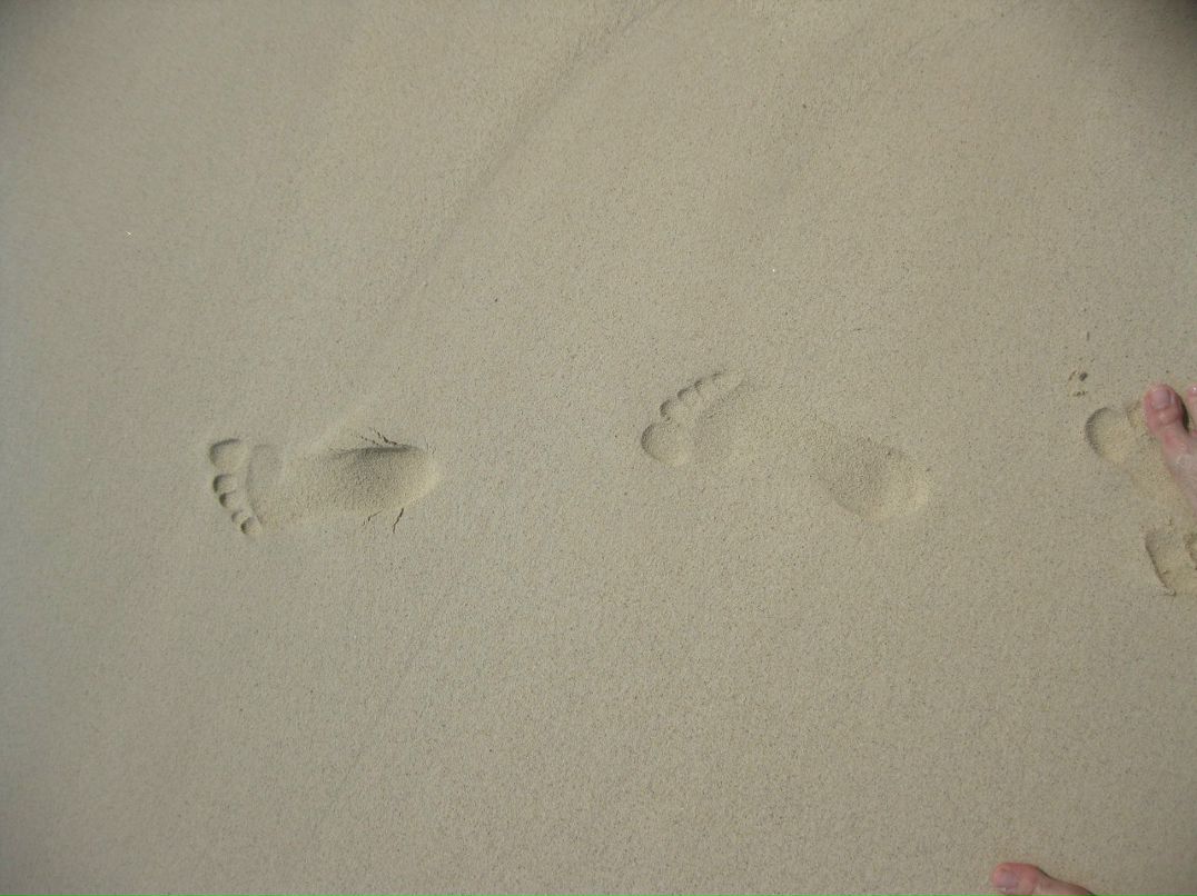 Григорий Творогов | Великий Новгород