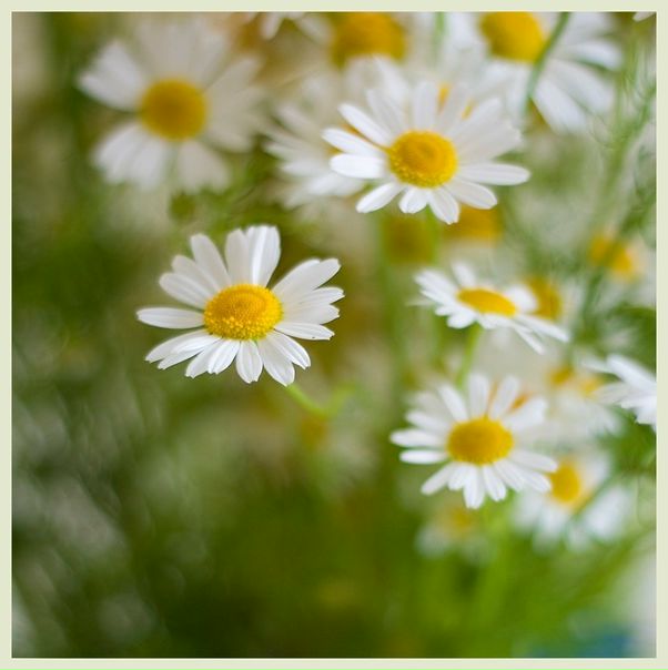 №112, Татьяна Ляксевна, Санкт-Петербург №112, Татьяна Ляксевна, Санкт-Петербург