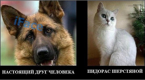 Алексей Горячев | Москва