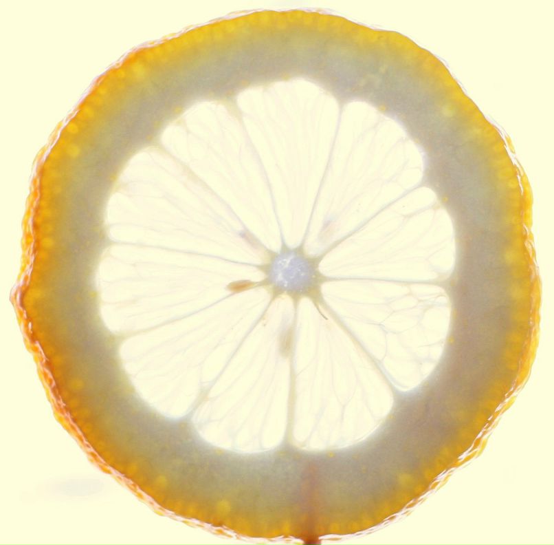 Юлия Надеева | Москва