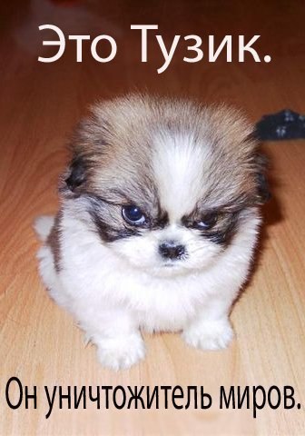 Анна Фирстова | Киев