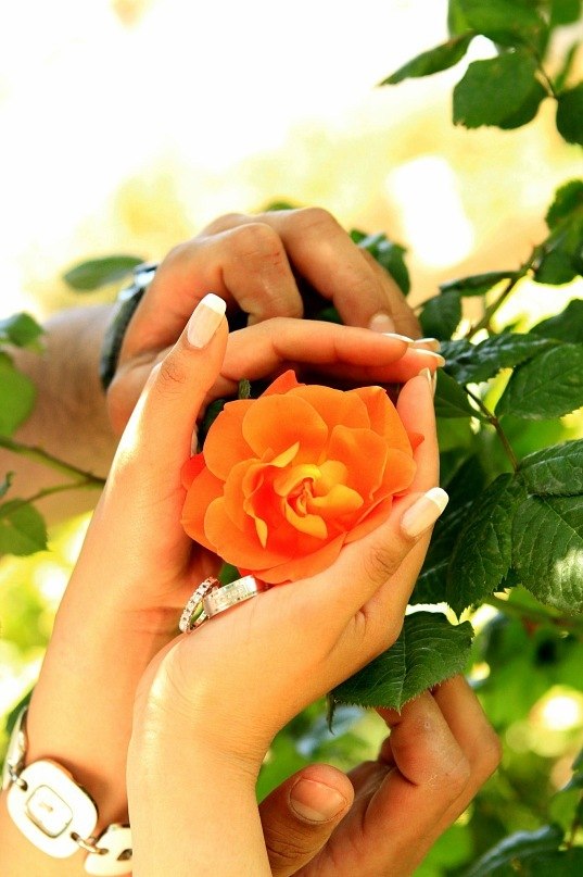 Маргарита Веритас | 