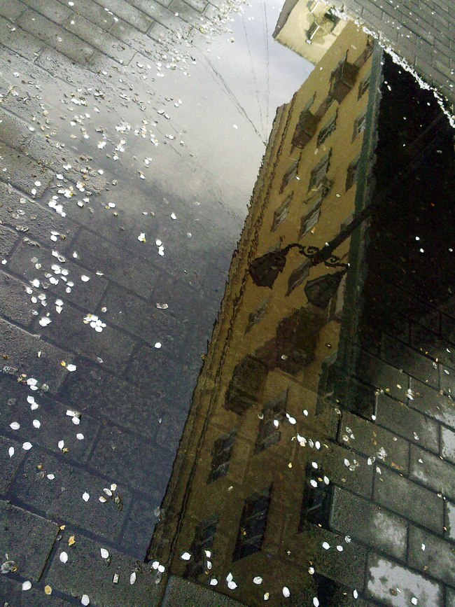 Святослав Родионов | Санкт-Петербург