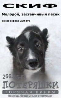 Роза Линчик | Уфа