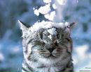 Фотография Алексей Вострецов