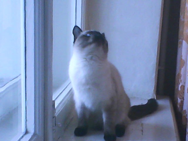 Мария Ткачёва | Казань