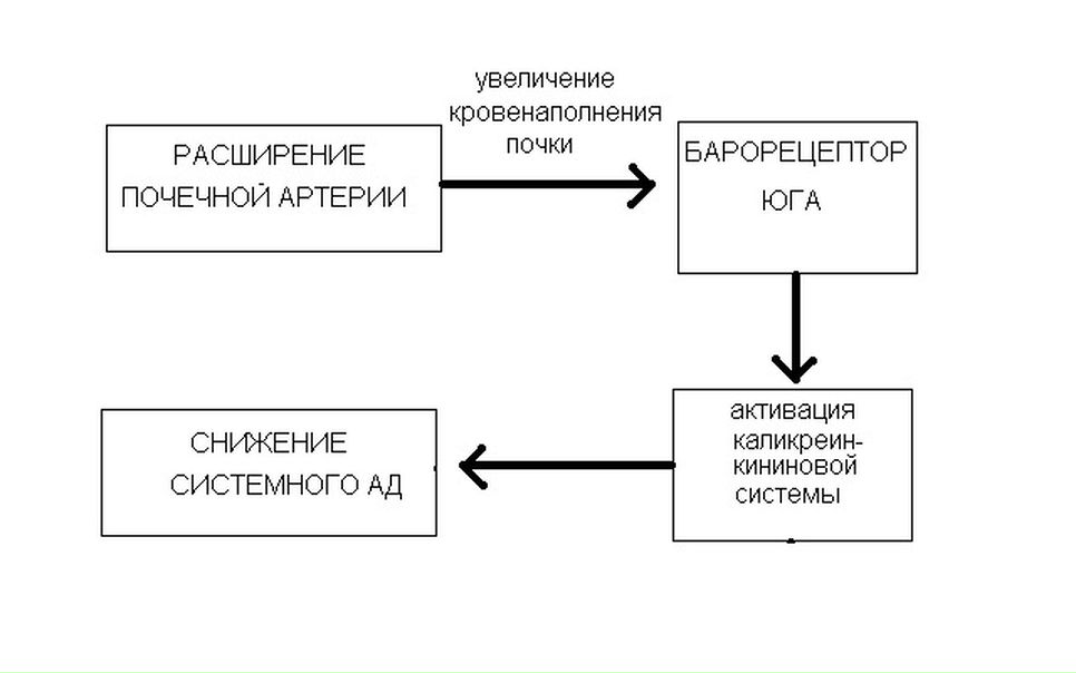 №1, Александр Корнаухов №1, Александр Корнаухов