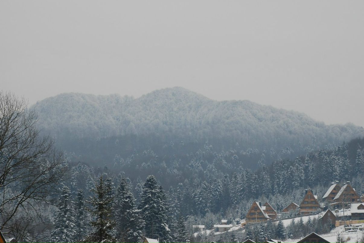 Николай Санин eridanus | 