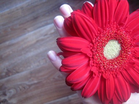 Анечка Ковалёва | 