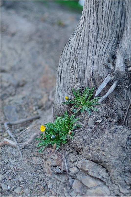 Светлана Гресь | Запорожье