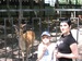 Оксана Янкова фотография #6